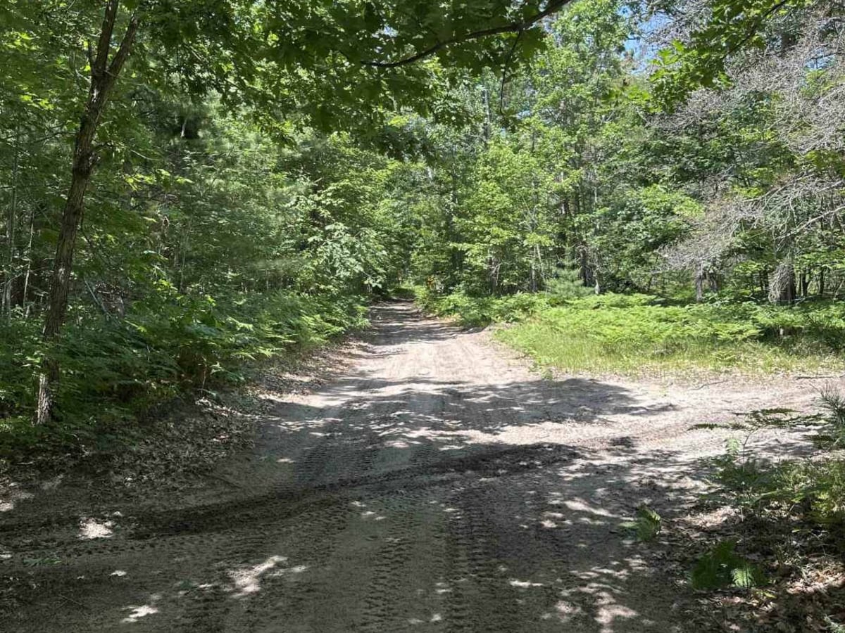 Indian River trailhead photo 6