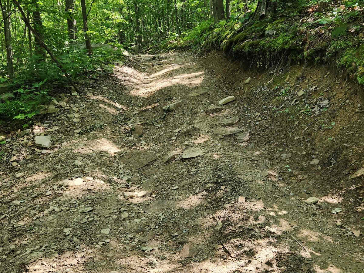 Trail 2C - Rock Run Recreation Area photo 2