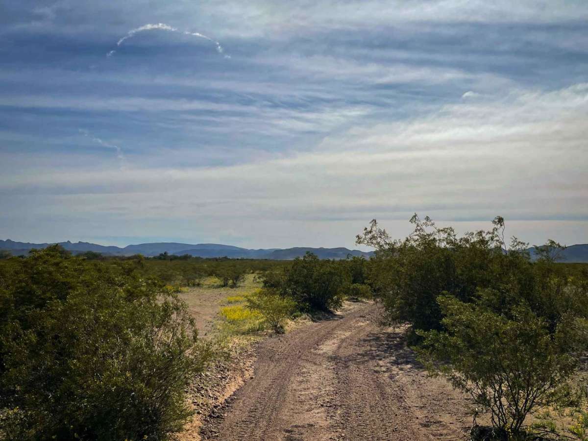 8107 Trail trail photo