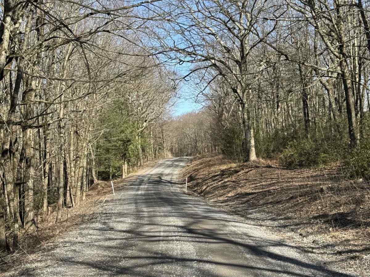 Grugan Hollow Road photo 4