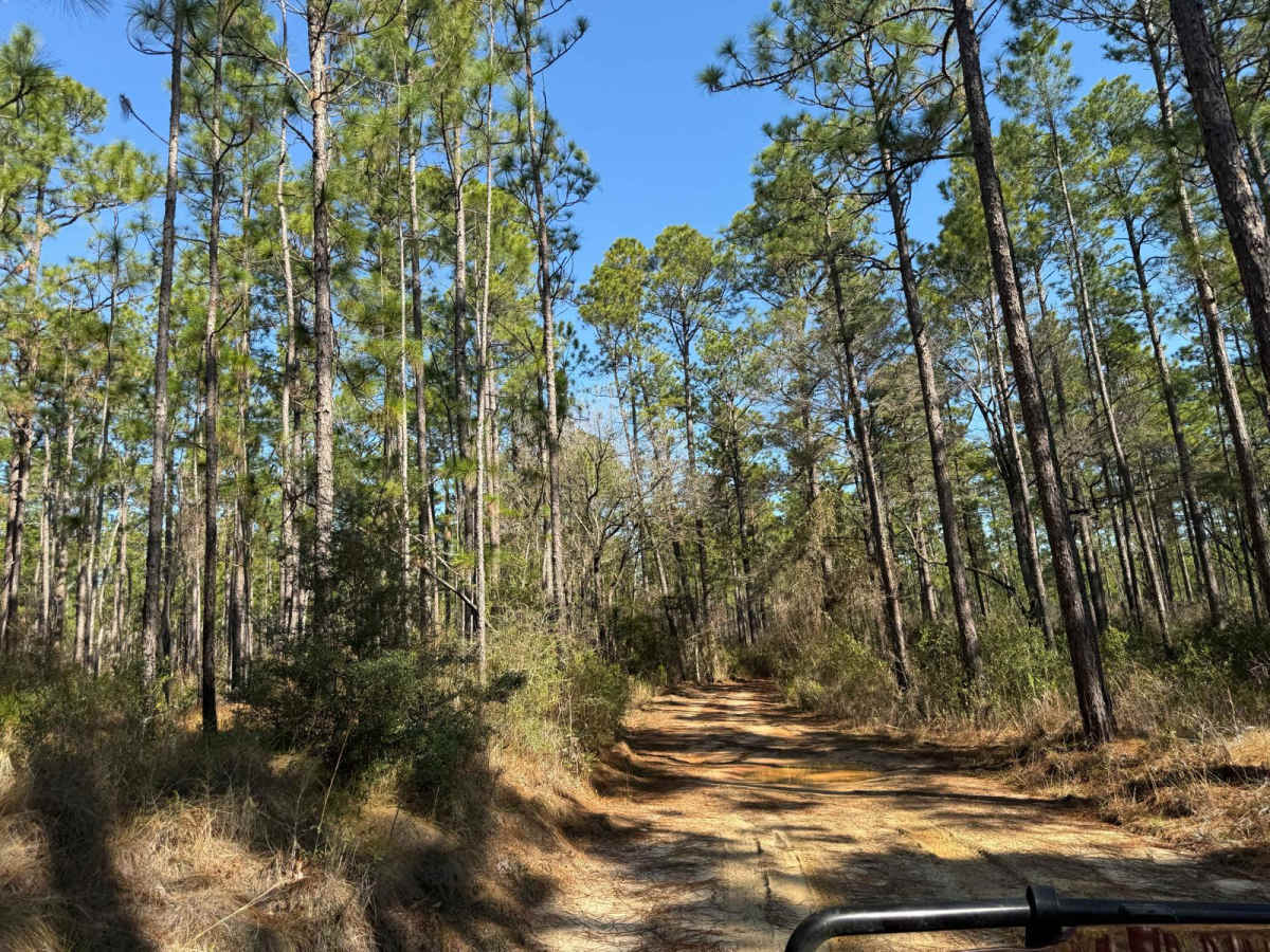 Florida State R78 photo 3