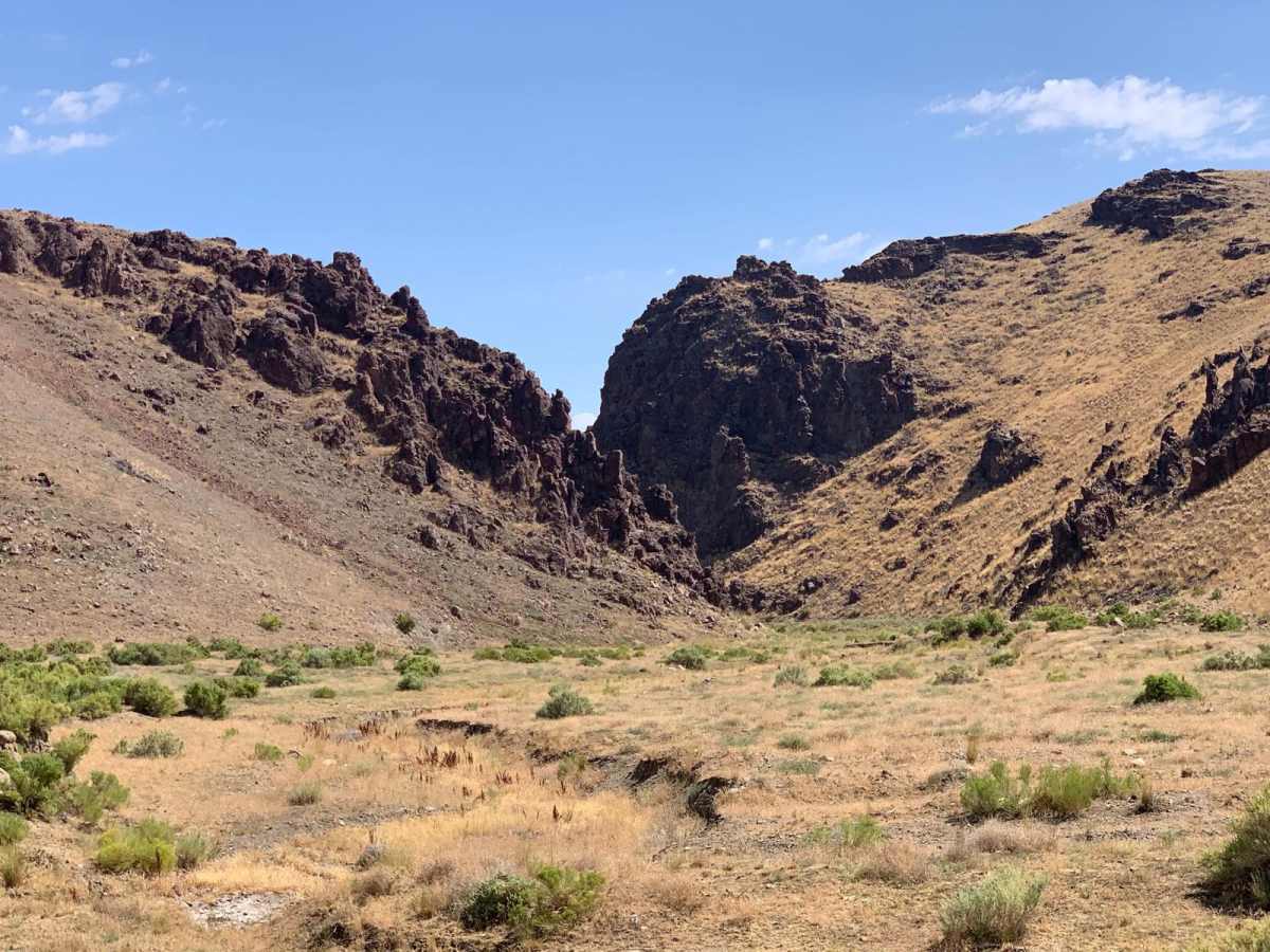 Hardtrigger Trail trail photo