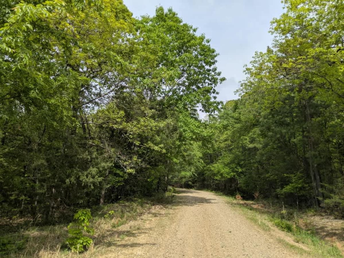 Wicked Creek photo 3