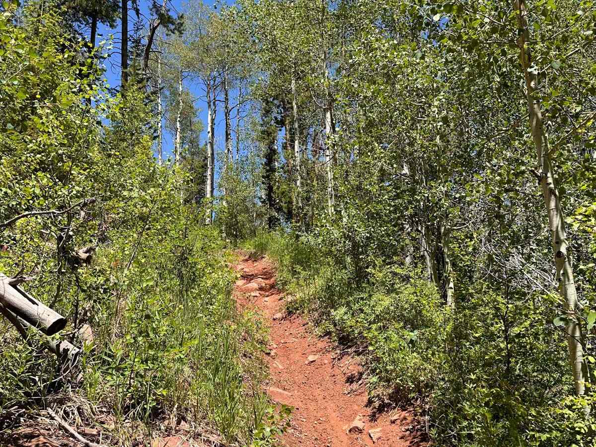 Green Gate Trail photo 4