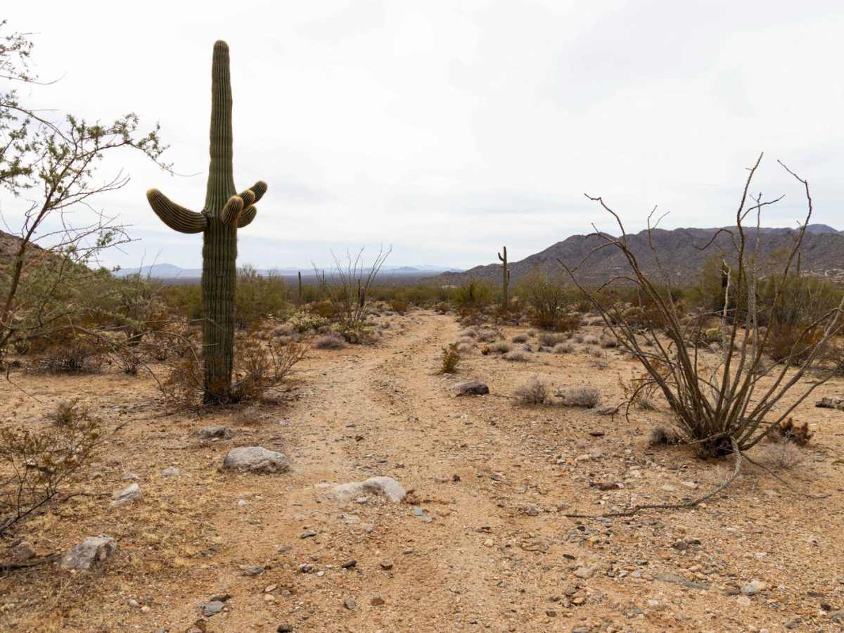 Wilderness Spur photo 2