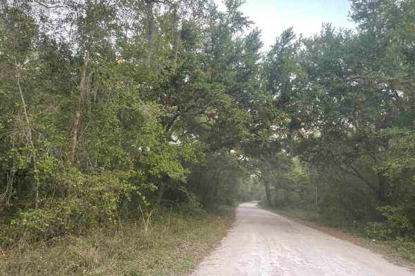 Richloam Wildlife Area: Center Grade Road