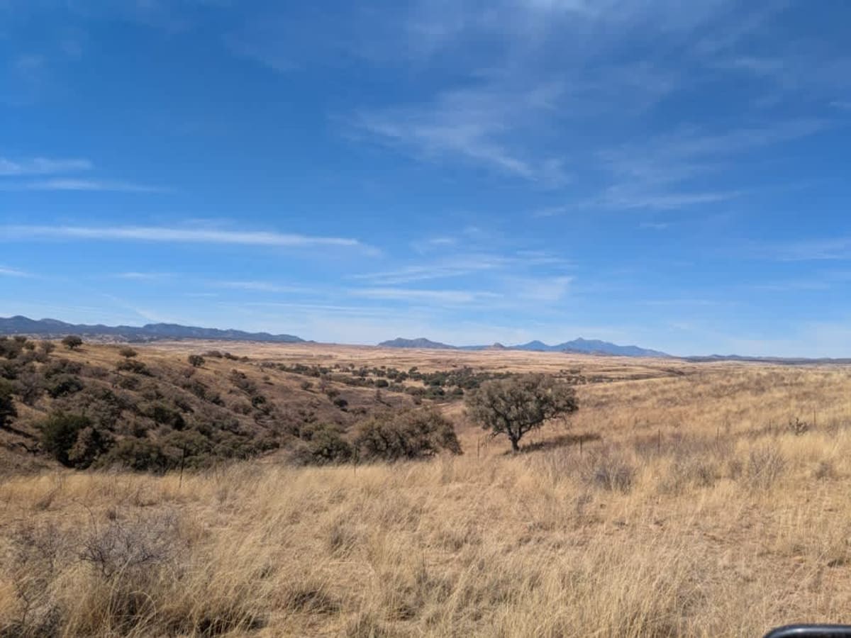 Max Tank Road photo 2