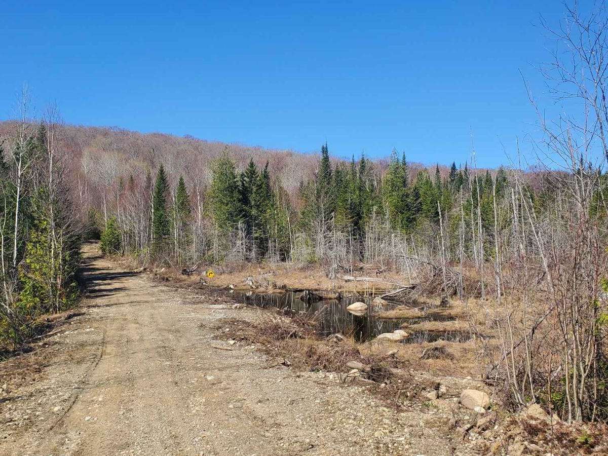 Rusty Road photo 6