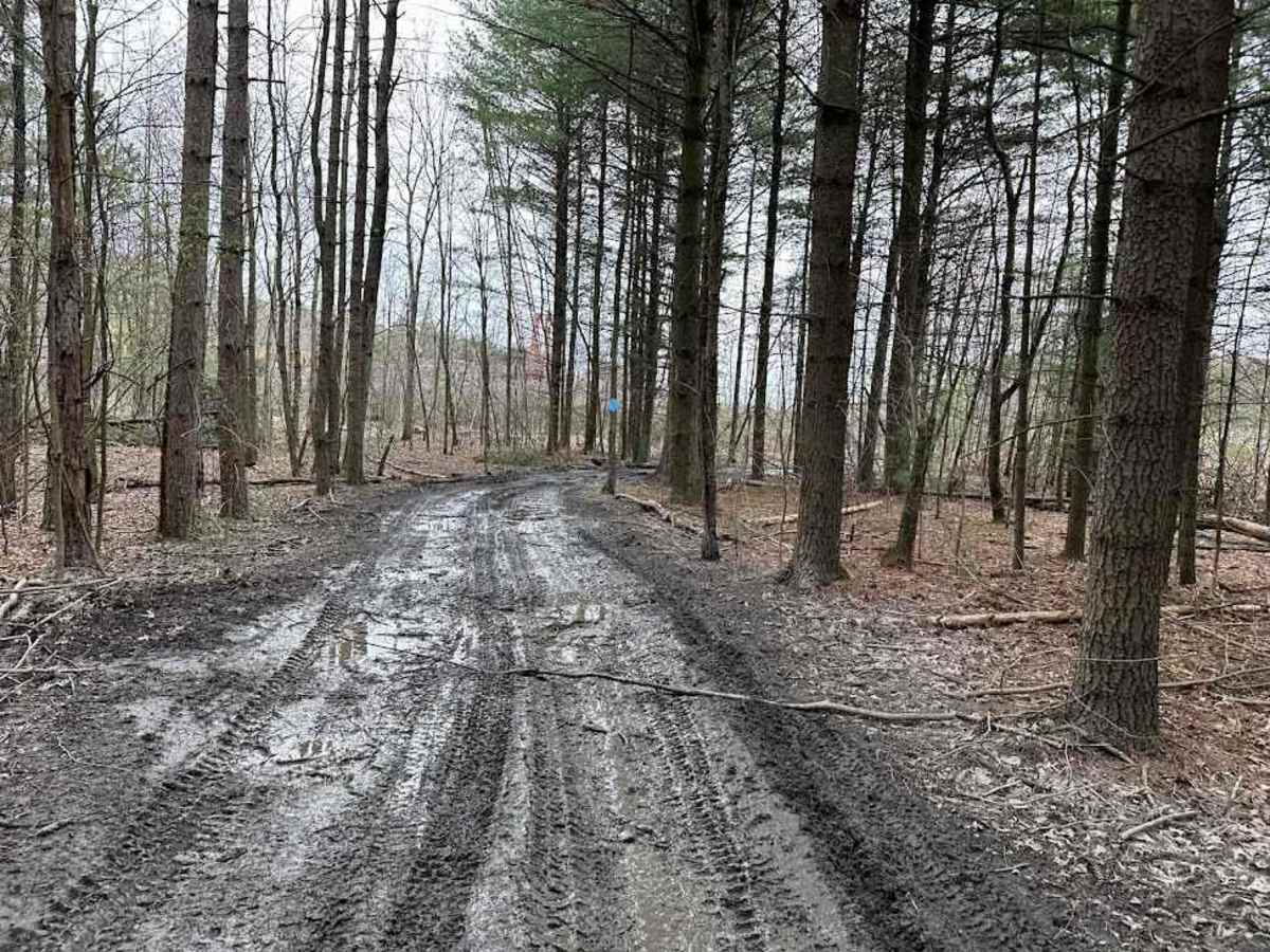 Minersville Short Cut trail photo