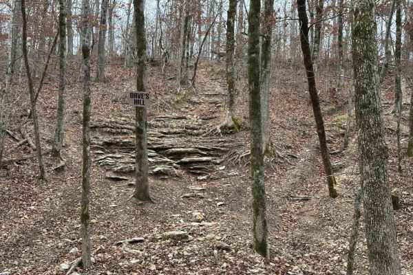 Dave's Hill 354
