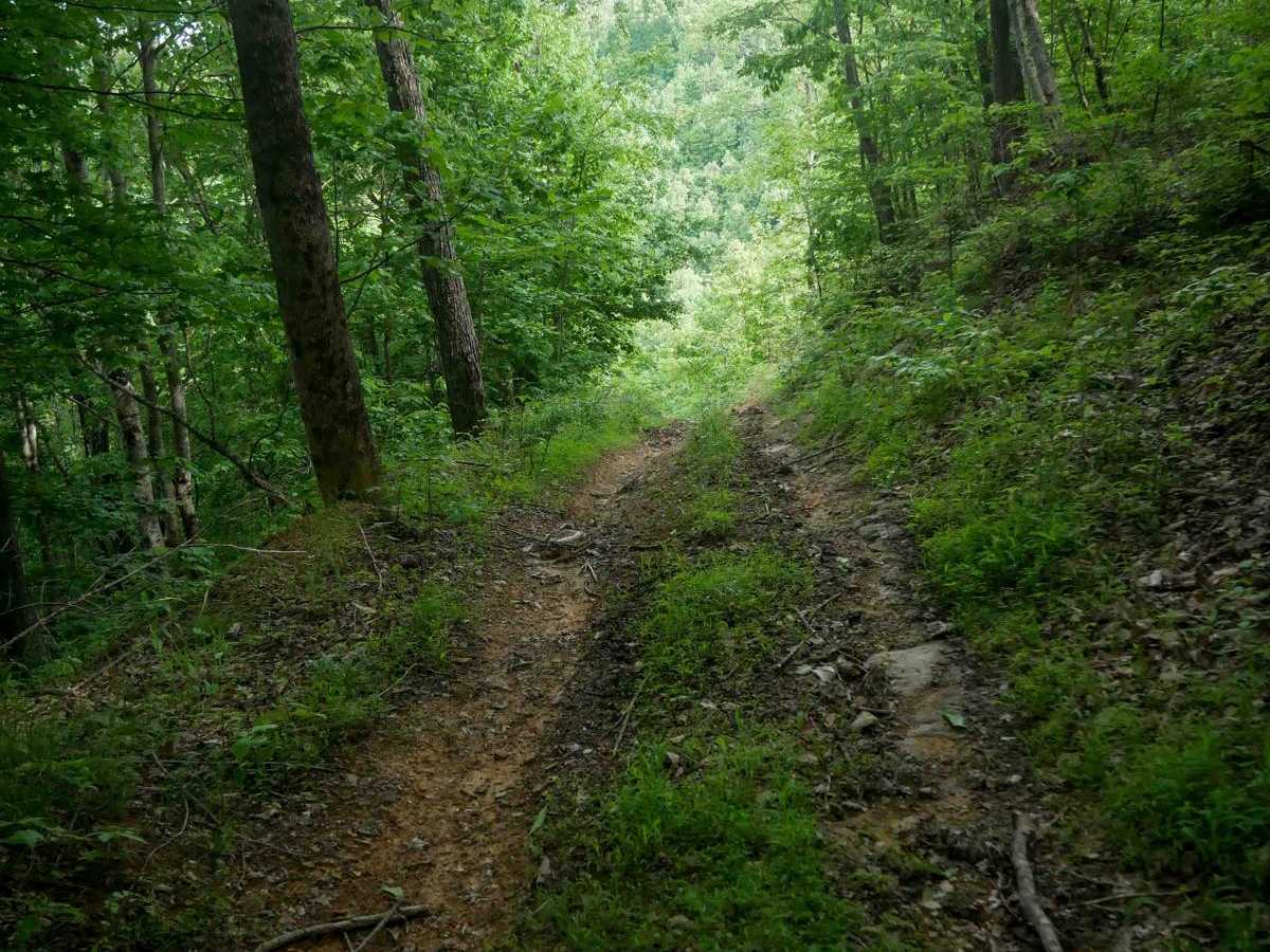 MV55 trail photo