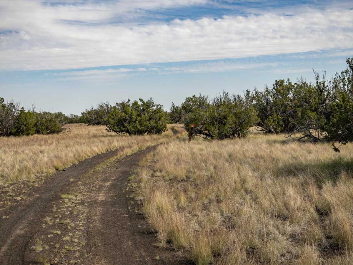 782 trail photo