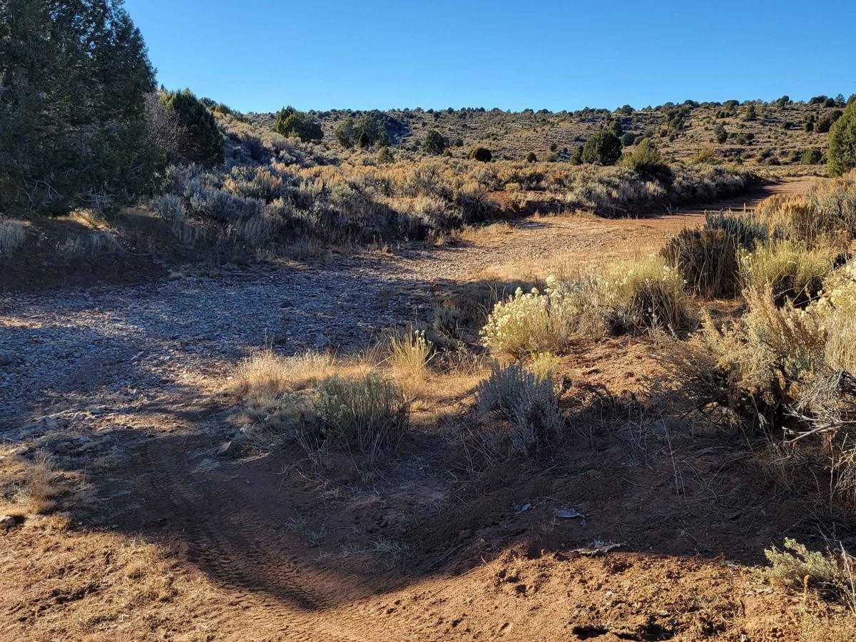 BLM 1649 photo 3