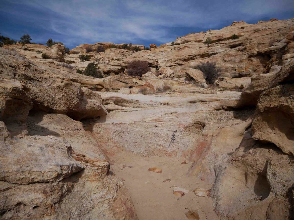 Big Johnson trail photo