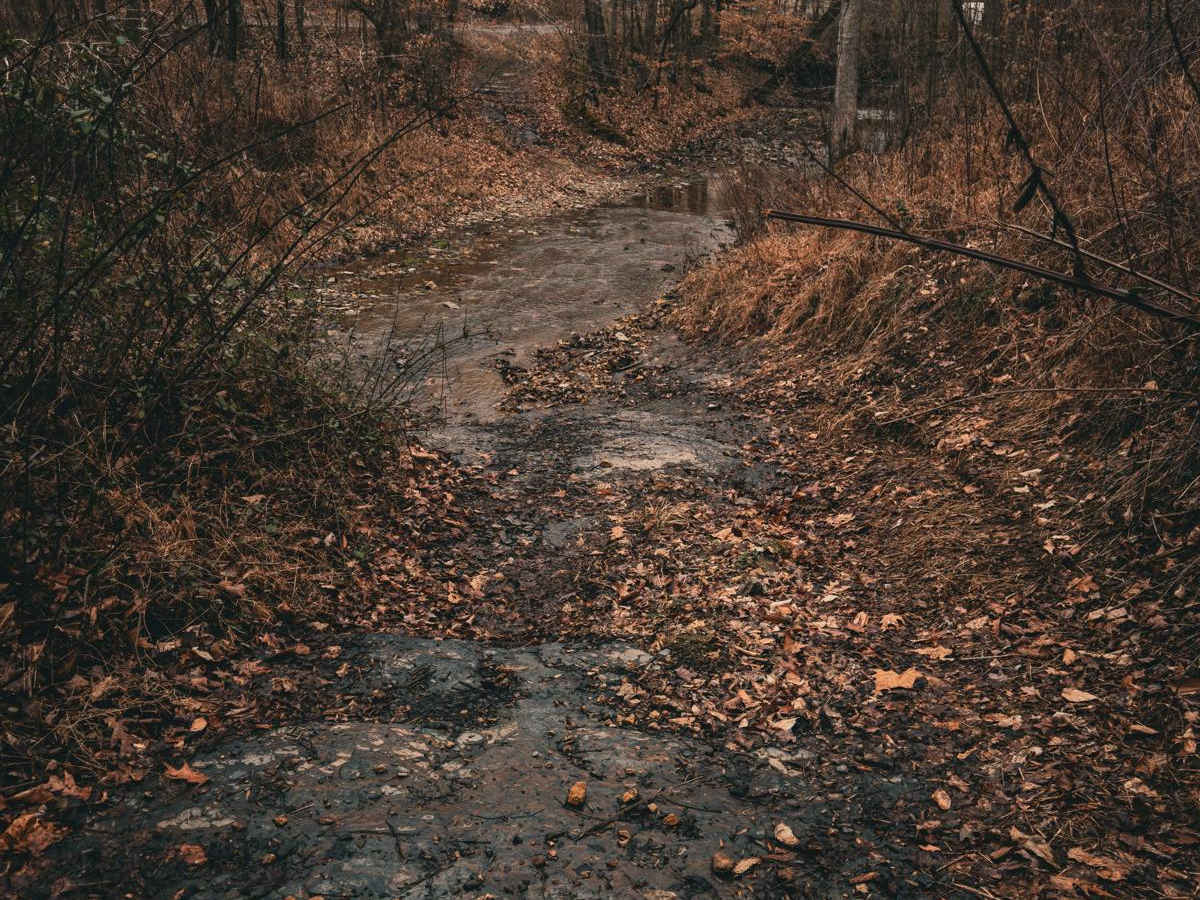 Tooley Branch Road photo 4