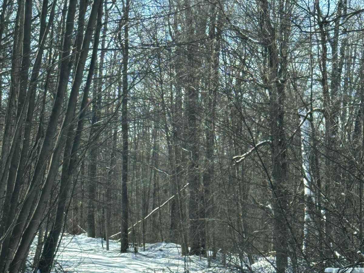 McCarty Road photo 4