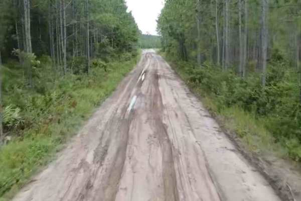 Satilla WMA Tour