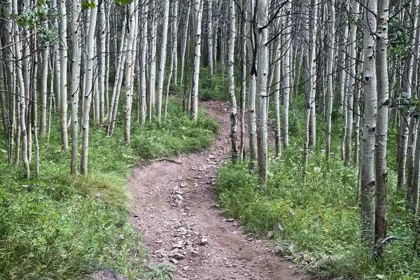 Elkhorn Trail South