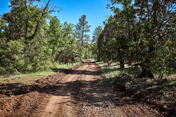 Sleeping Coyote Run