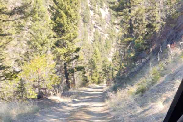 York Gulch