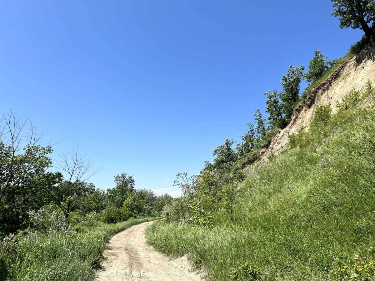 Roseisle Creek photo 5