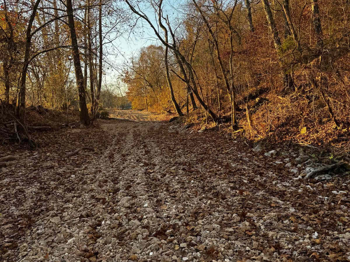 Main Creek trail photo