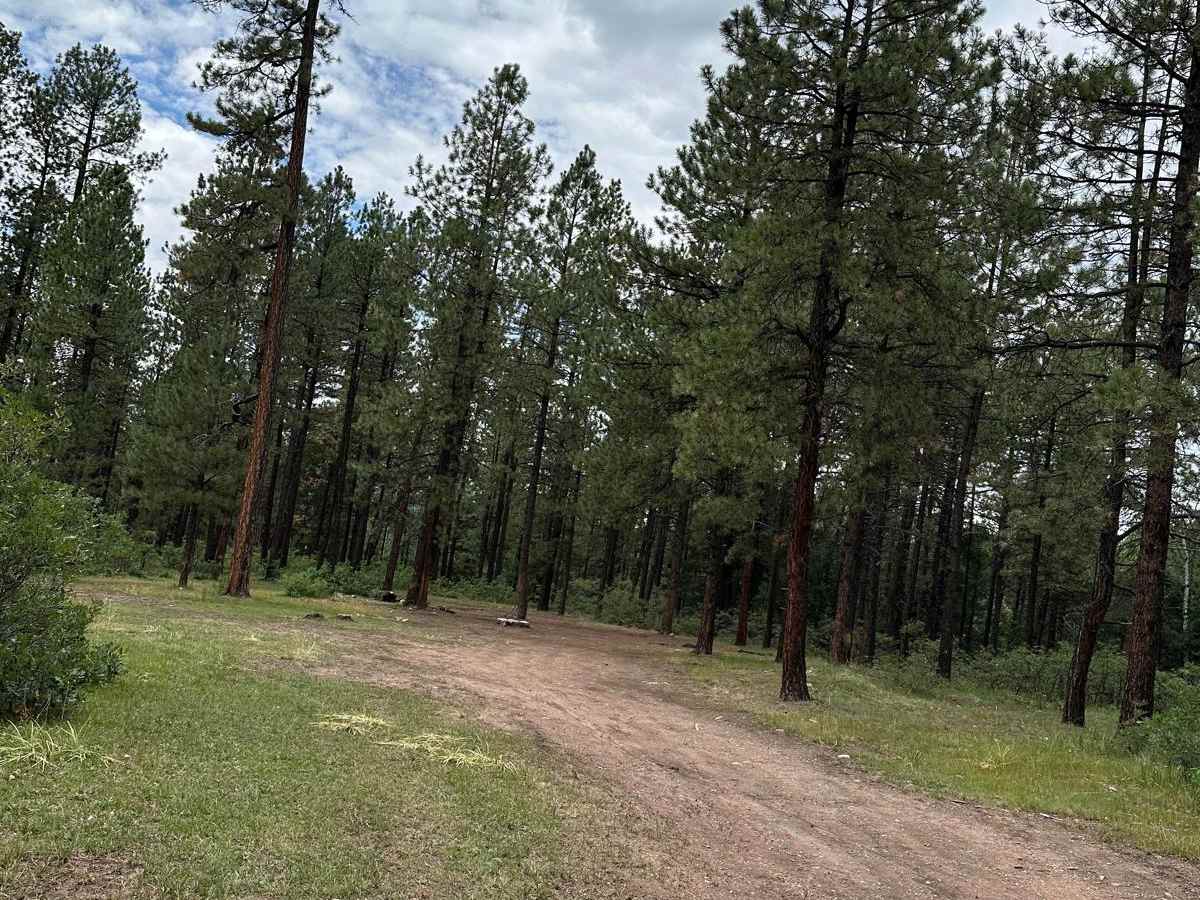 FR 69 American Park photo 3