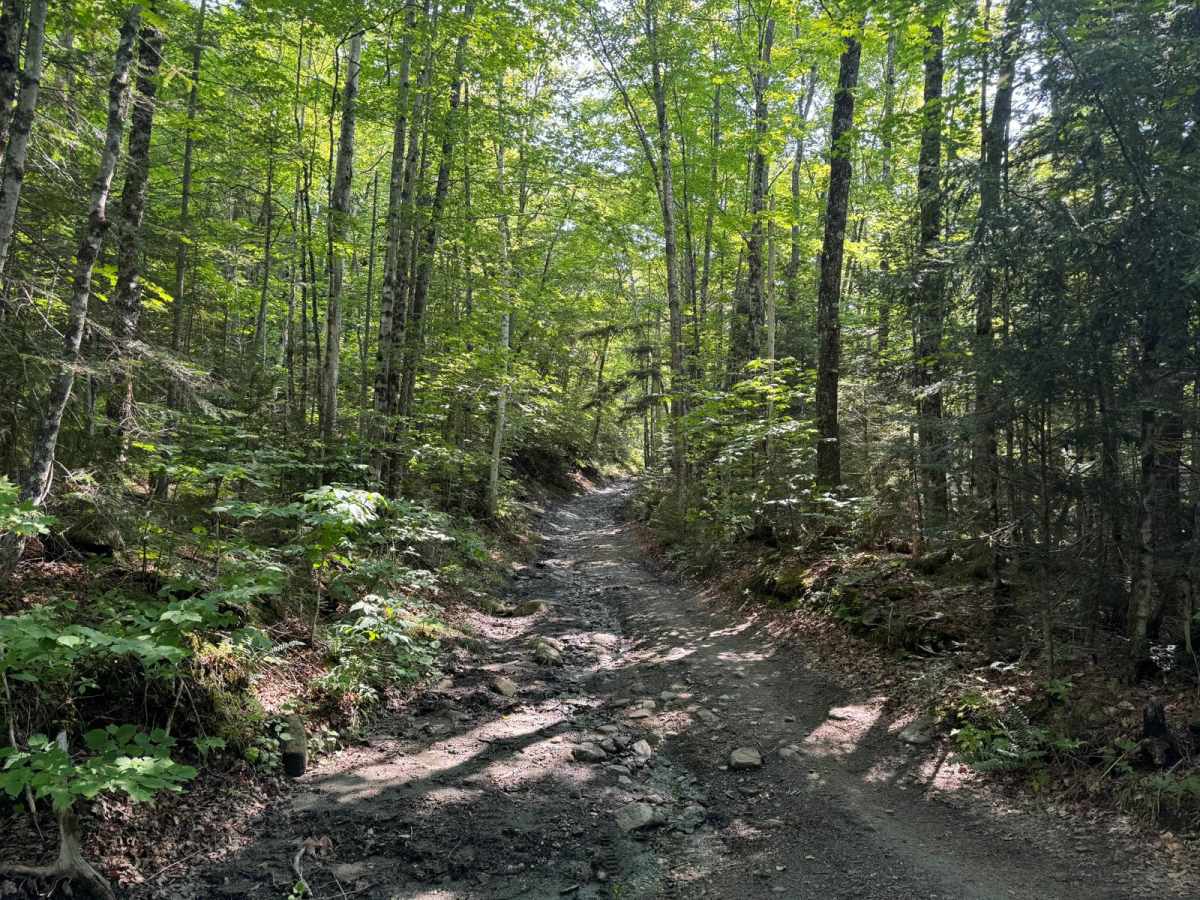 Explore Vermont Brookfield to Wells River photo 3