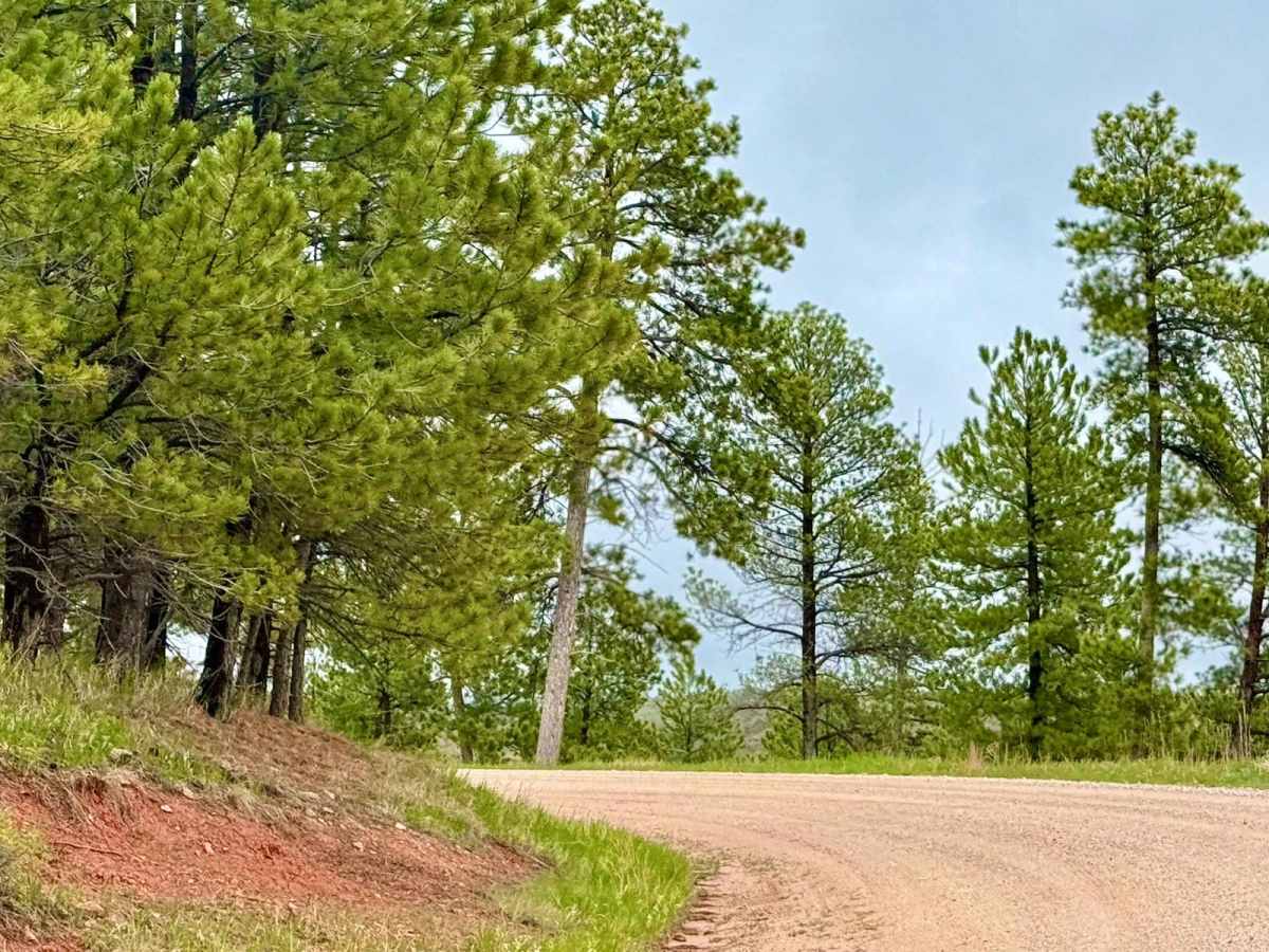 Antelope Ridge Road photo 4