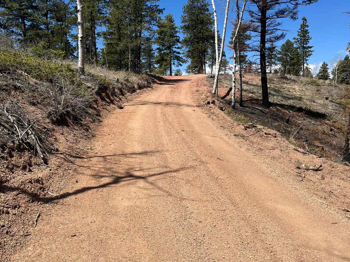 Ensign Gulch Road FR 314 photo 6