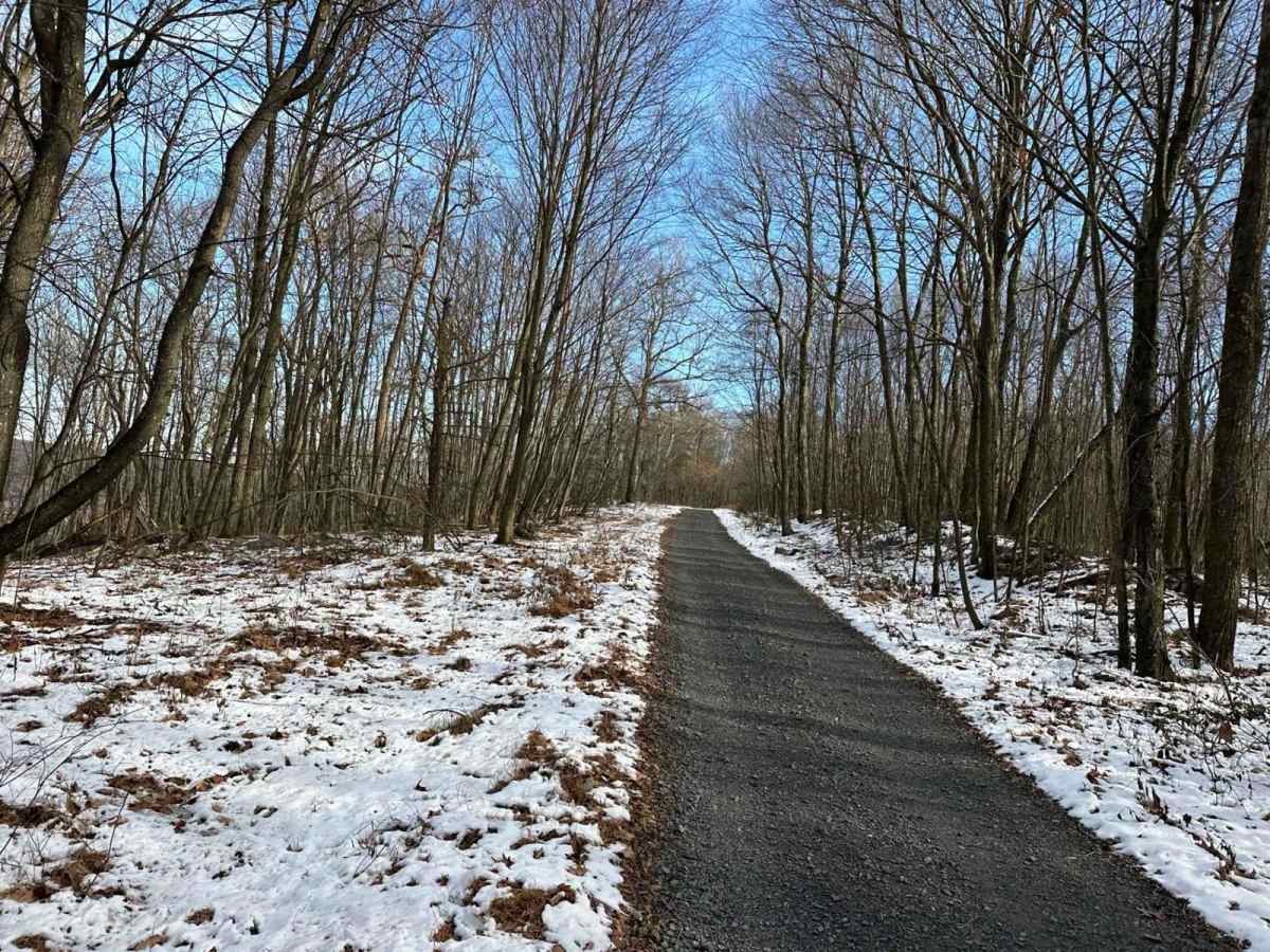 Locust Gap 33 trail photo