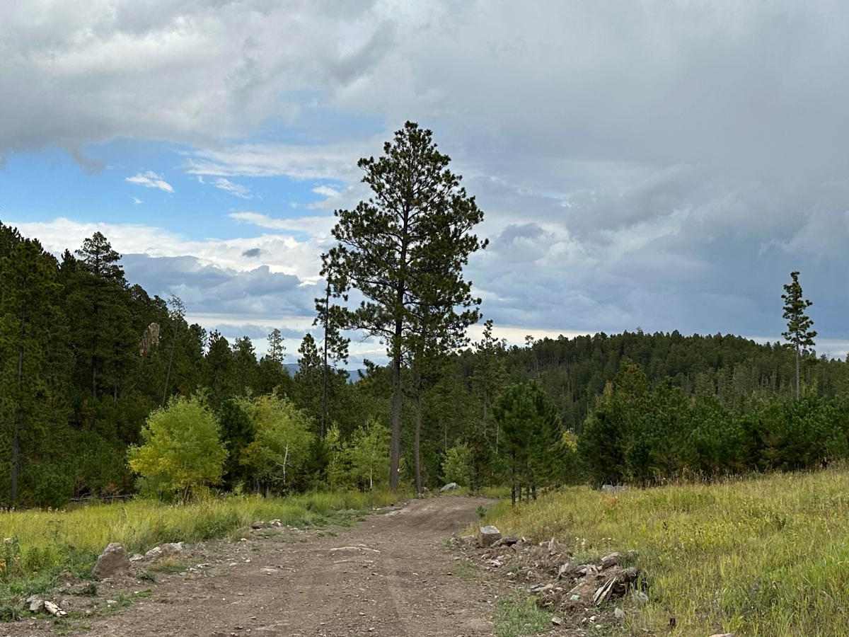 Pony Gulch, Divide, & Bloody Gulch (FS 184.1) trail photo