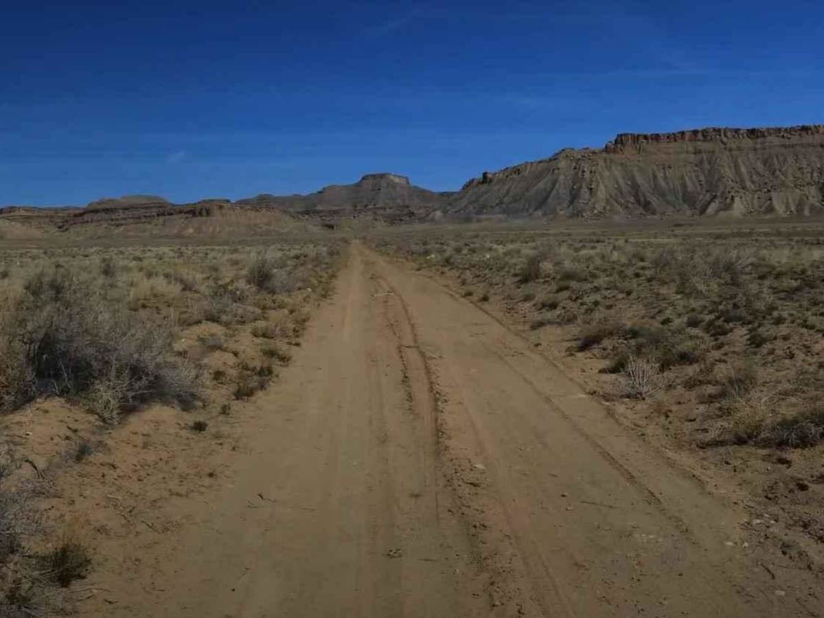 Cresent Wash Petroglyphs photo 2