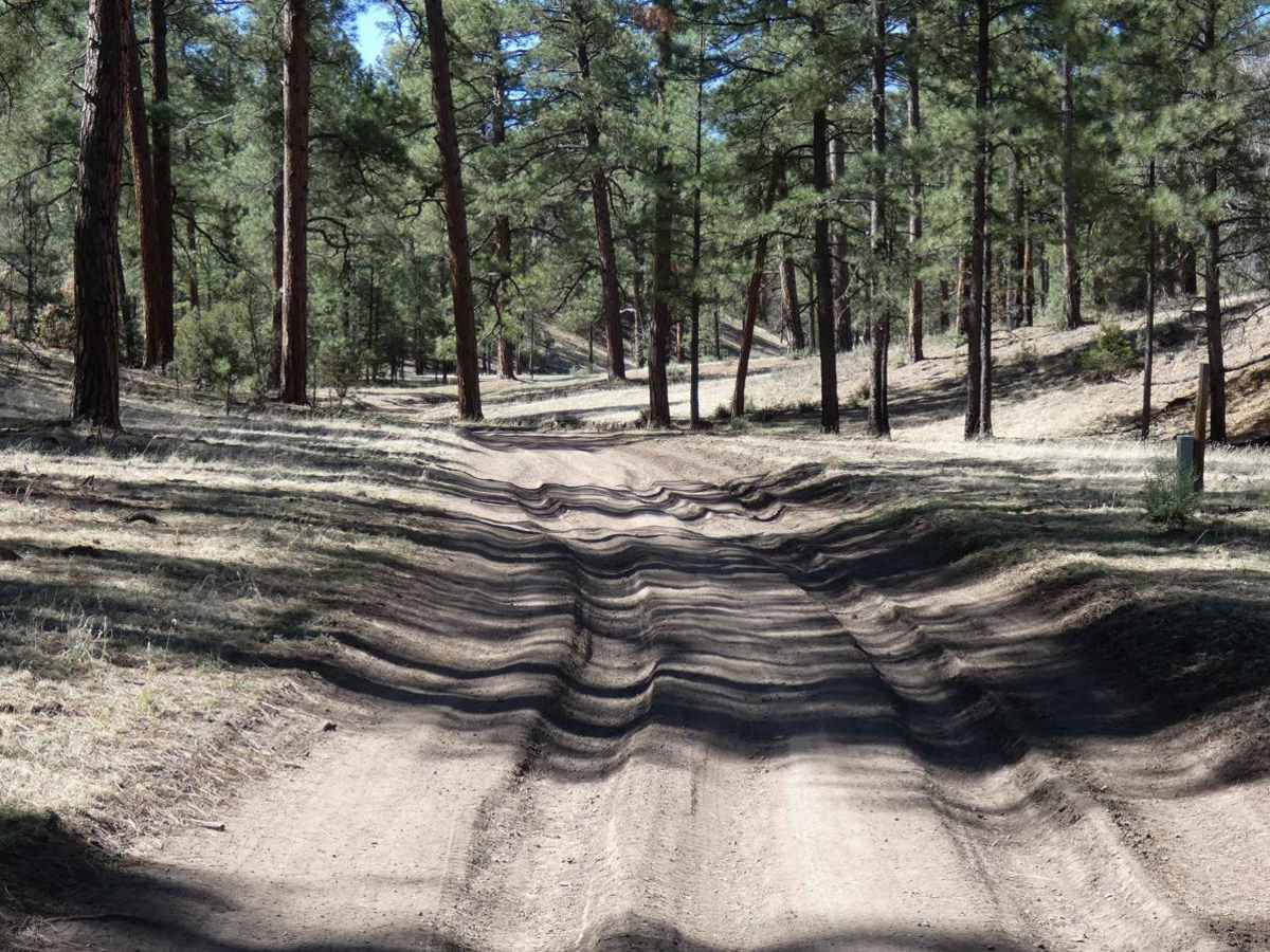 Frank's Ranch Road photo 4