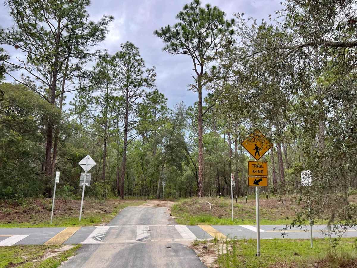 Crooms Wildlife Management | Trail 5 photo 3
