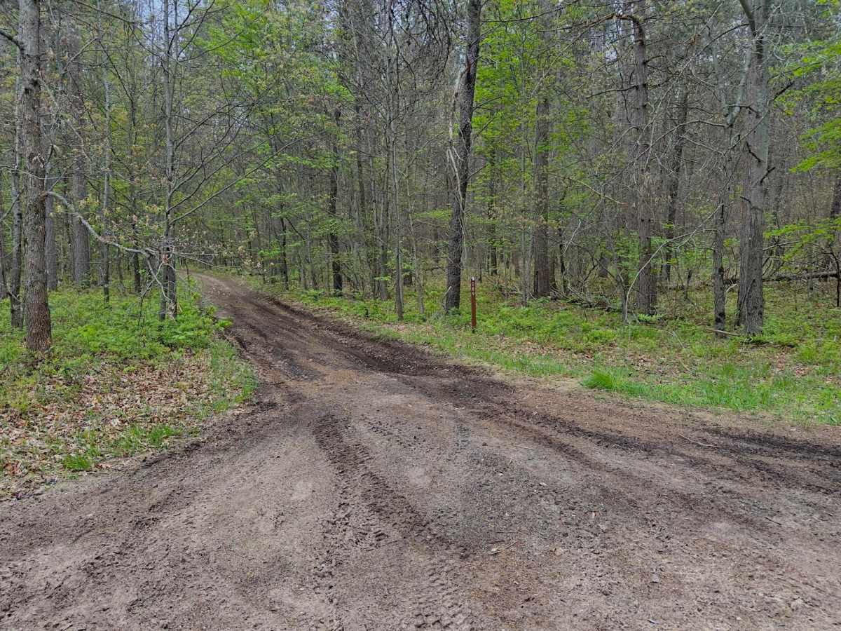 FS 5089 trail photo