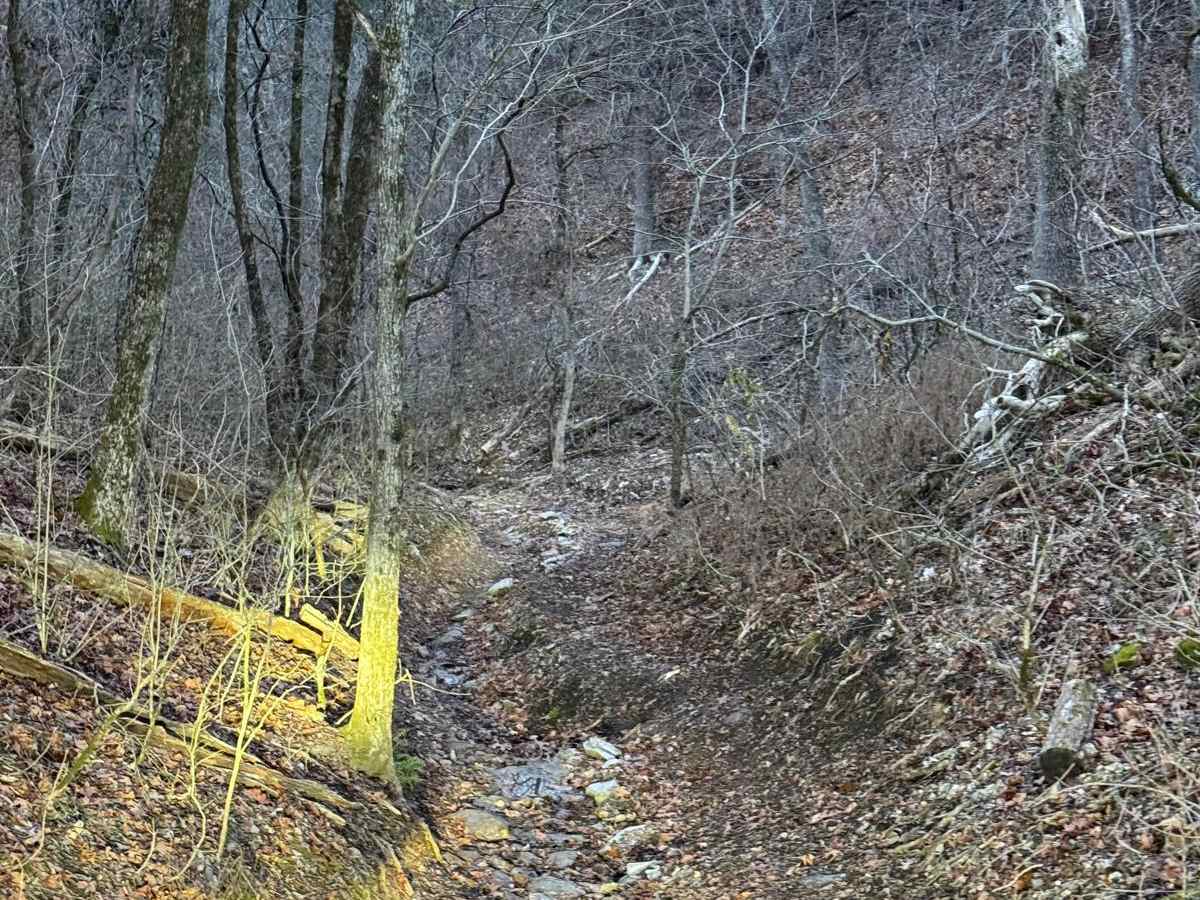Copperhead 295 photo 6