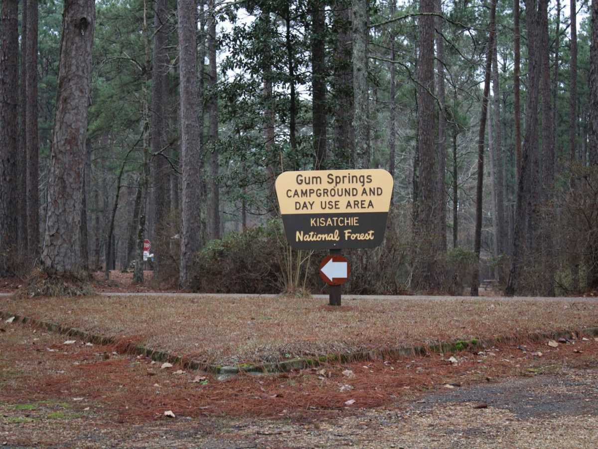 Gum Springs Campground trail photo