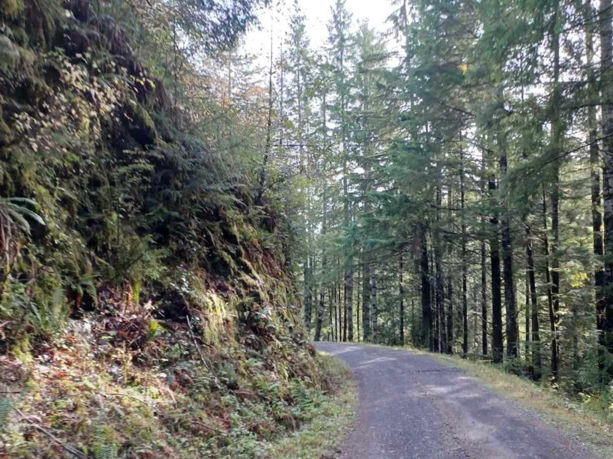 Sourgrass Ridge photo 4