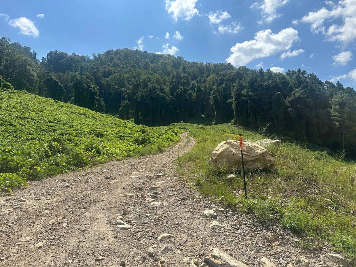 102 trail photo