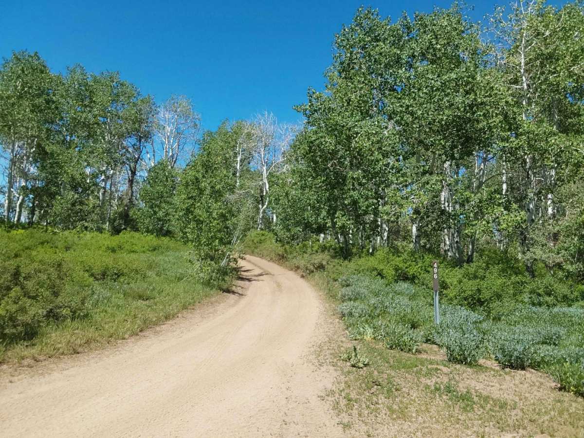 Roy's Elk Bugling Trail photo 3