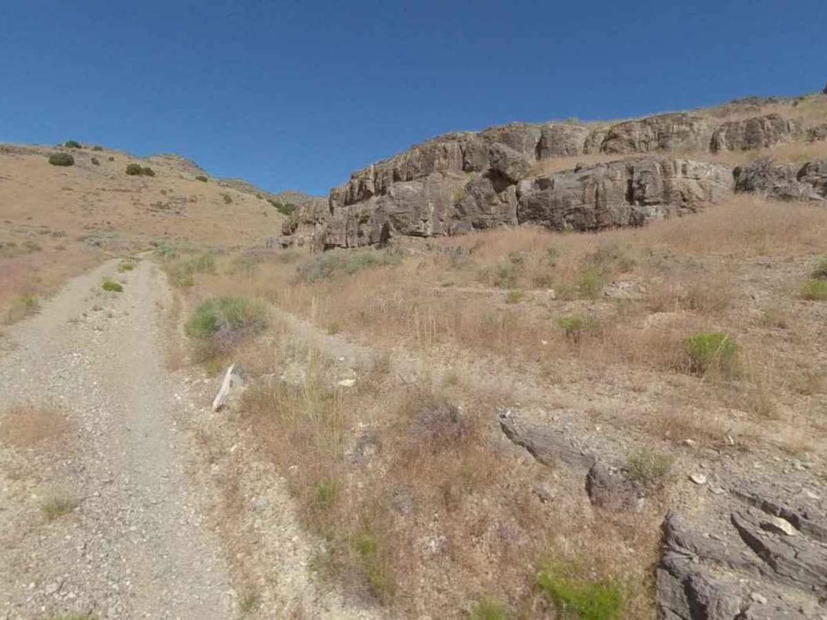Conger Mountain OHV Route 6 photo 2
