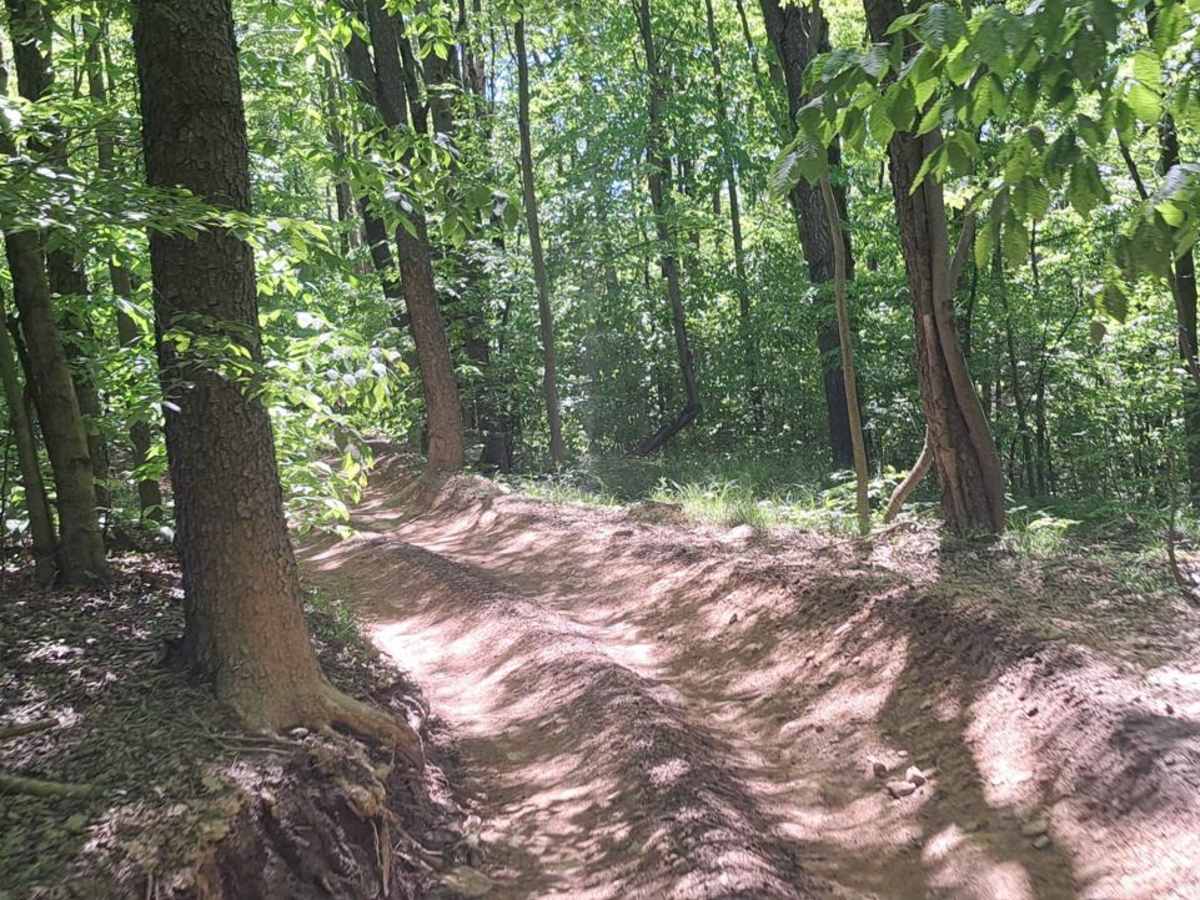 Campground Trail photo 3