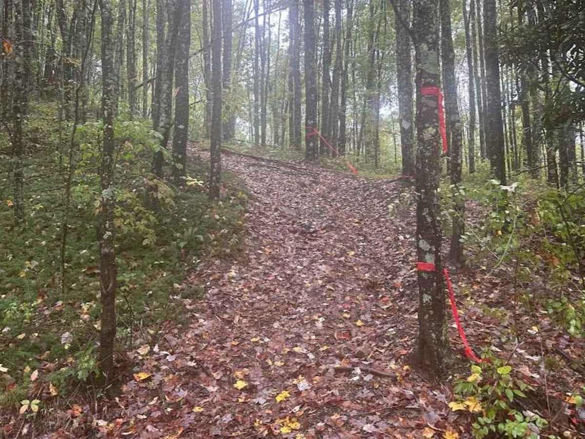 192 Single Track photo 2