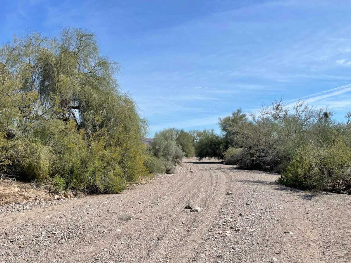 NottBusch Wash photo 6