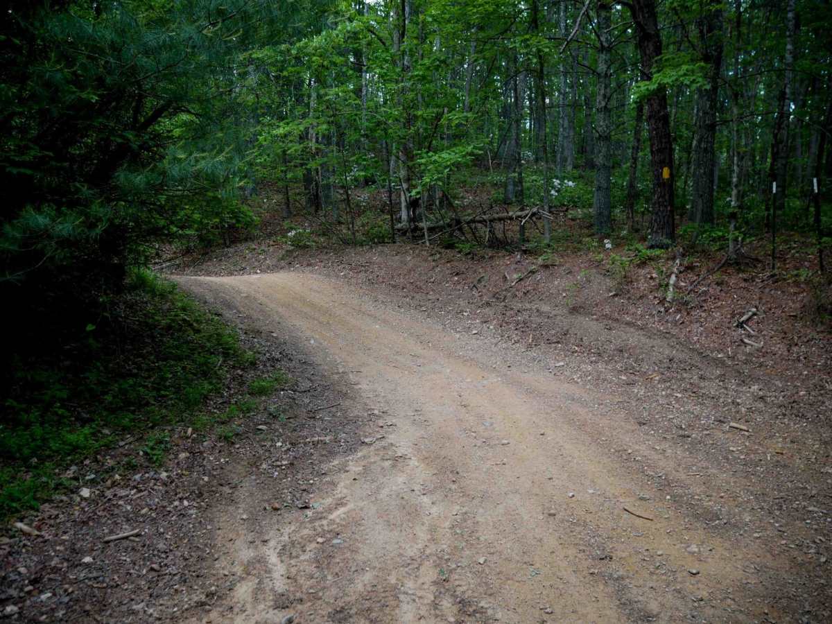 Terrapin trail photo