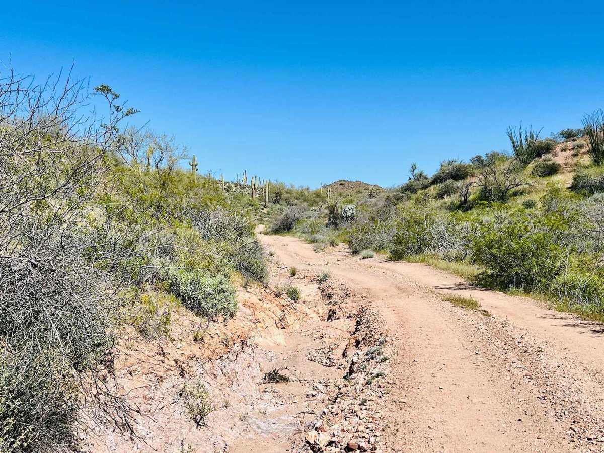 Another Wash Trail BLM 9060 photo 6