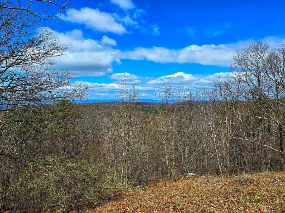 Snowy Mountain Road trail photo