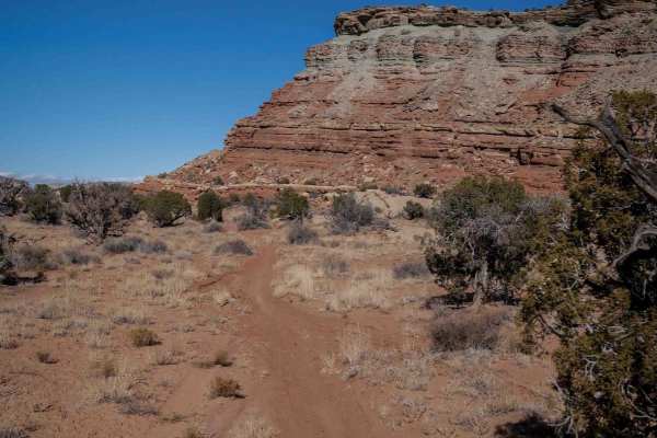 Summerville Singletrack