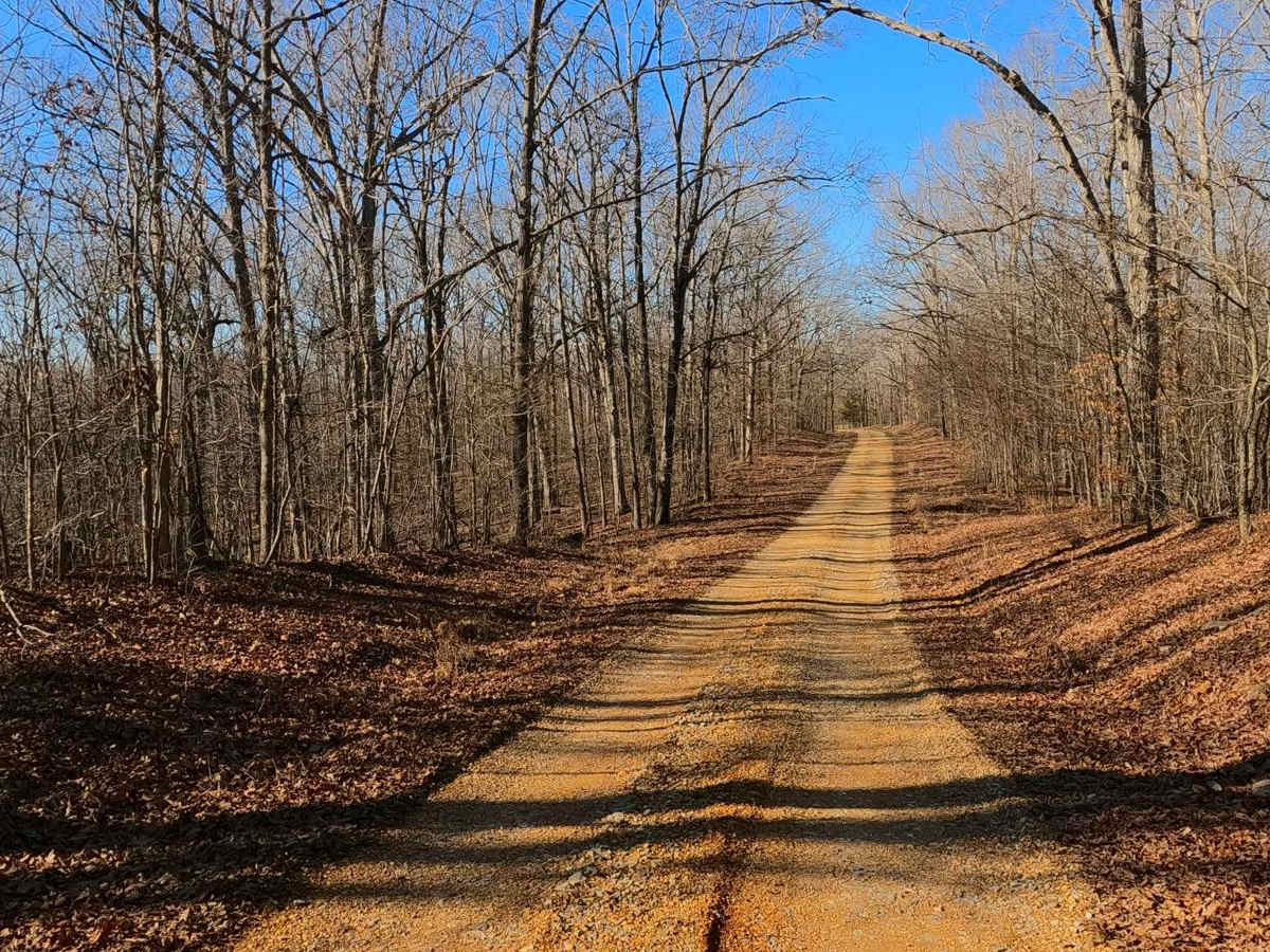 Back Mail Route Road - FS 312 photo 3